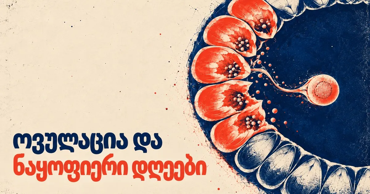 ოვულაცია და ნაყოფიერი დღეები — როგორ გამოვთვალოთ ჩასახვისთვის ხელსაყრელი პერიოდი